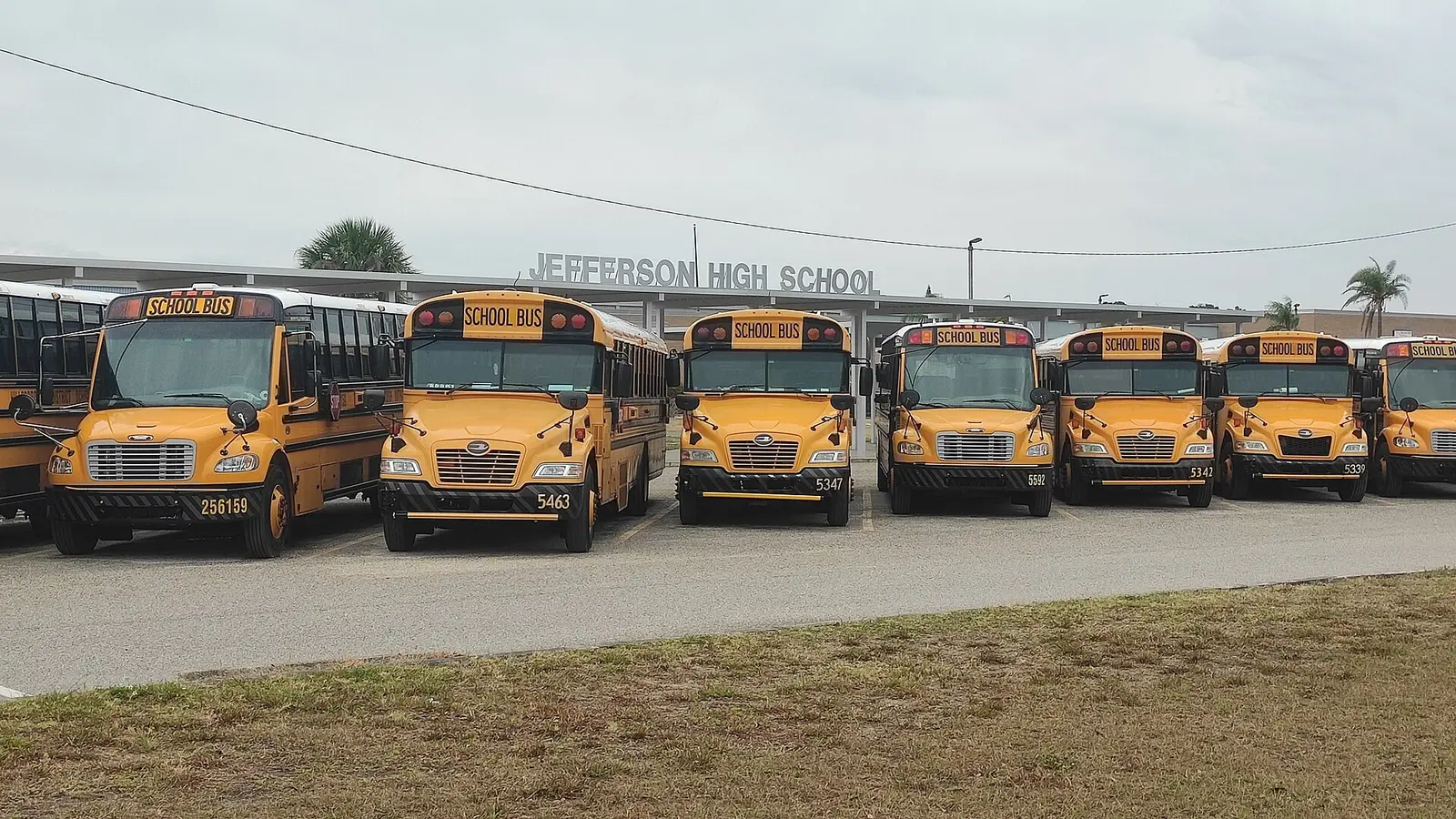 School buses lined up outside Jefferson High School in West Tampa.