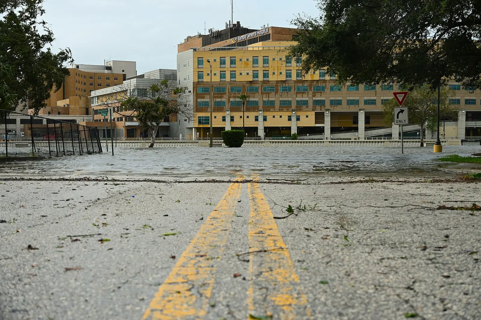 Storm surge from Hurricane Idalia in 2023 on Bayshore Boulevard near Tampa General Hospital.
