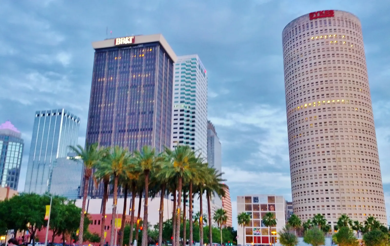 Palm trees, downtown towers and the Tampa Museum of Art seen from Curtis Hixon Waterfront Park.
