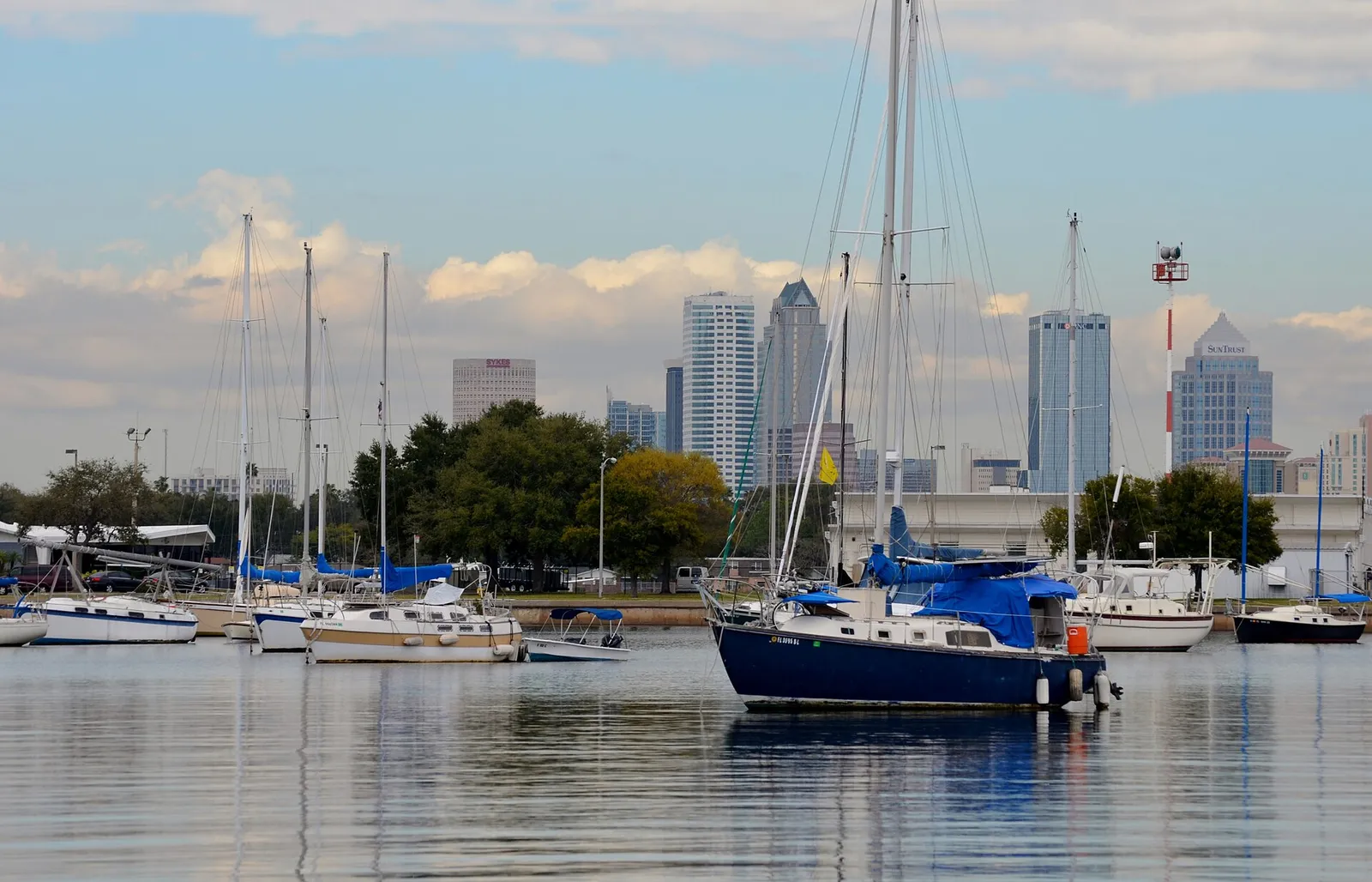 Sailboats at Davis Islands with the downtown Tampa skyline behind.